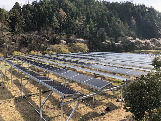 Project Reference of solar farm racking customized