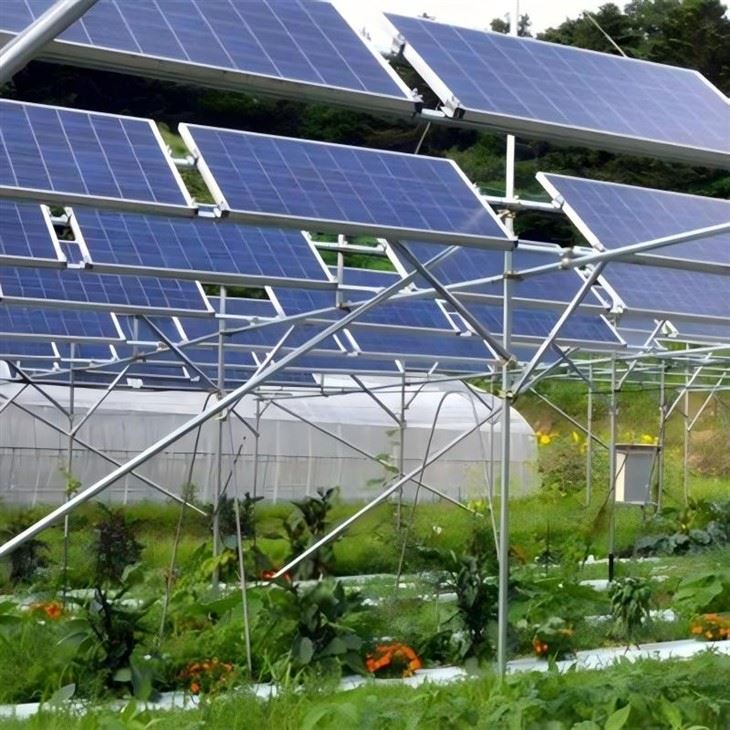 Wholesale Solar Farm Mounting System_02